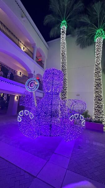IMG_3978.jpeg.3ce76509943ba1fe6e262eddf18de88d.jpeg