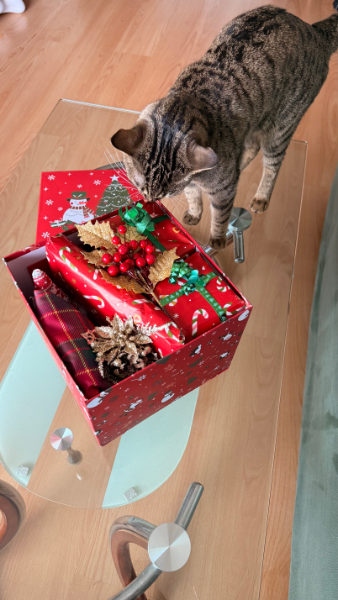IMG_4328.png.e19247e6d2979ce1bfc2f6f84f355d48.png