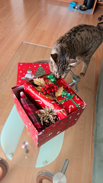 IMG_4333.png.1f7e942ba452d7fe943bf9d6ec6b77c9.png