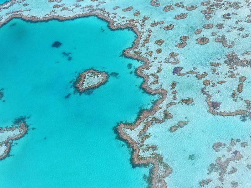 heart-reef-1649218.jpg