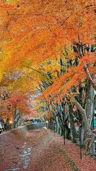 IMG_6663-EDIT.jpg