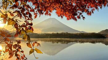 IMG_6885-EDIT.jpg