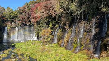 IMG_7038.jpg