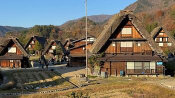 IMG_7236.jpg