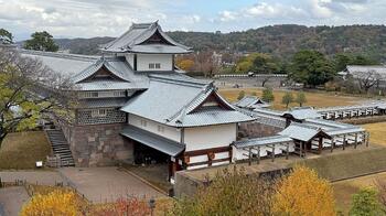 IMG_7367.jpg