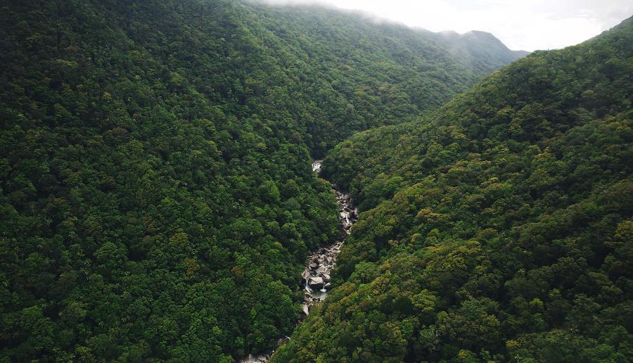 wet-tropics.jpg