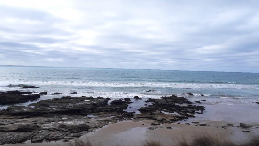 20190223_094037.jpg.f63d5c7f09f67b2fa4cc3b05b8097a86.jpg