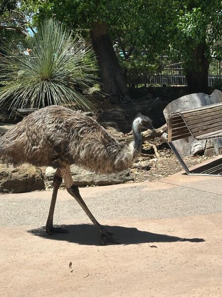 IMG_0658.jpeg.690dbce9895c8f9ffecf1f359b07f9bb.jpeg