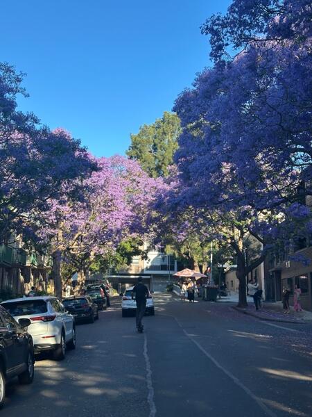 IMG_0742.jpeg.cc53df0eef9f97836588b743ef71fadc.jpeg