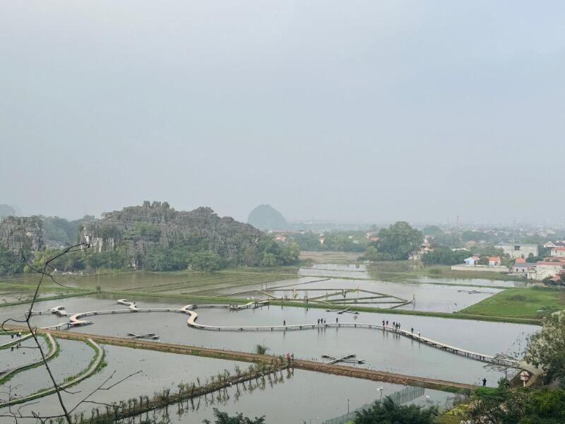 IMG_7083.jpeg.da176ea3d1700e6025593c7c78ccb2f0.jpeg