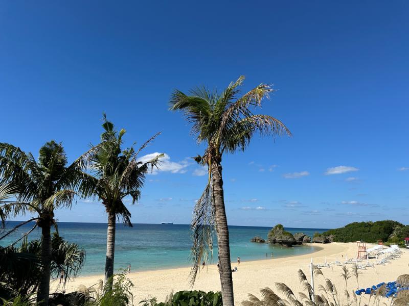 IMG_1622.jpg.0302c9a0da7f4ce04db8f062f550b458.jpg