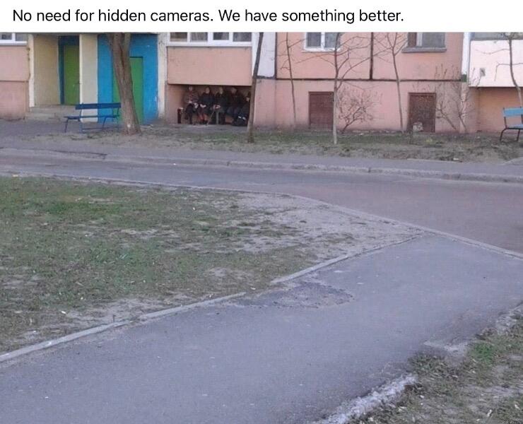 IMG_0905.jpeg.d77d925a7bffe7fed90d825f0272988b.jpeg