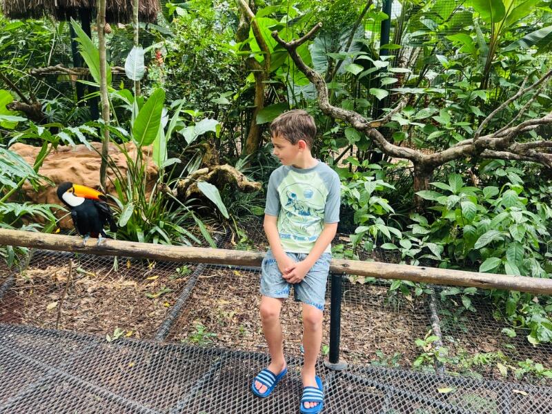 IMG_3016.jpeg.0417c1ce9b1b51dace1b9f08fc17d269.jpeg