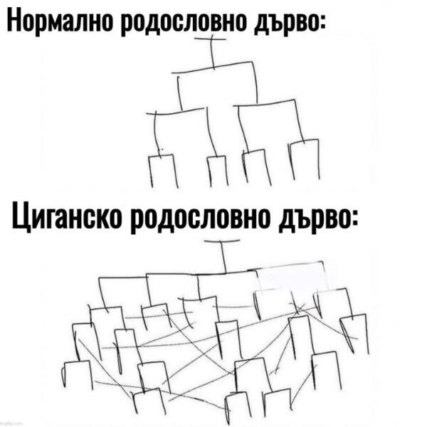 IMG_4931.jpeg.59db944dc008525d2dc7b339b24b2afe.jpeg