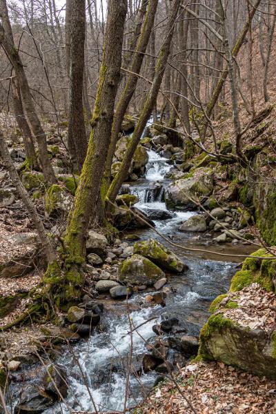 _DSC3753.jpg.3c27222bd06fb18d760a6b719f03c452.jpg