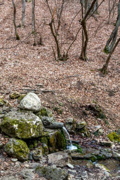 _DSC3799.jpg.11cc3739f70f8a36f91a2f03fa0141c6.jpg
