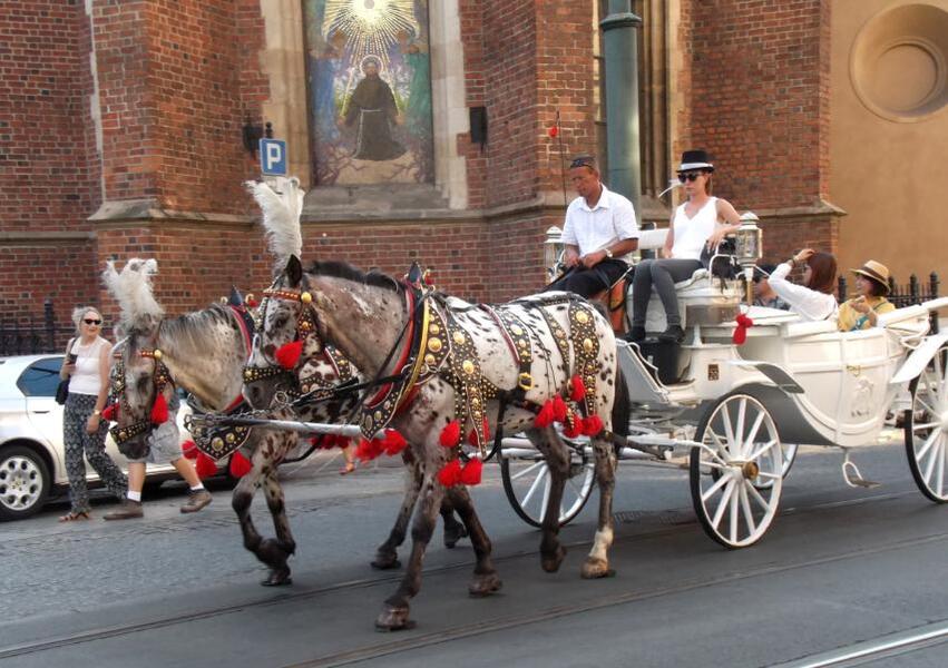 01-Krakow(164).JPG.36755d6a7e7f3dfa07156e8b5c9b5d3e.JPG