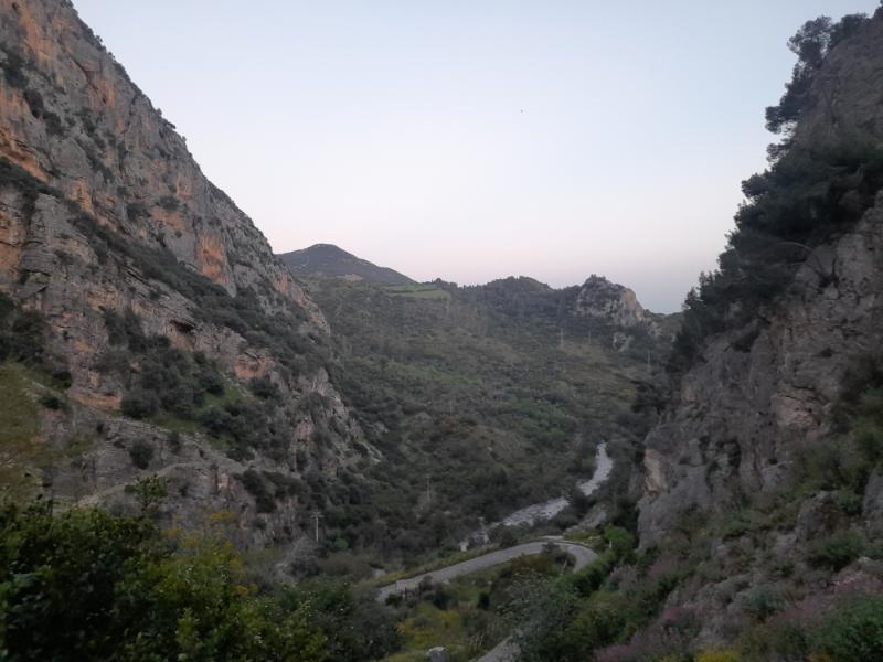 20260411_193154.jpg.1c61a770cba6a1f5ea33d0209a7f9f2c.jpg