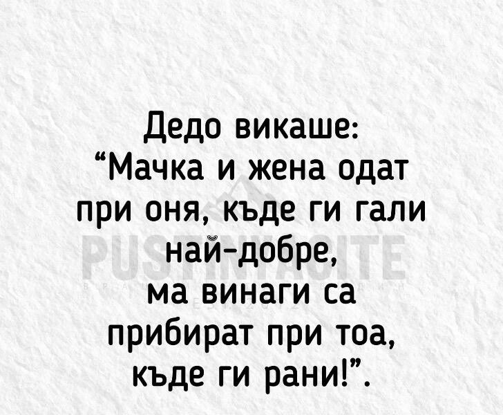 IMG_1868.jpeg.ac2b53ebe5a4ae4909cf102f6974eb13.jpeg
