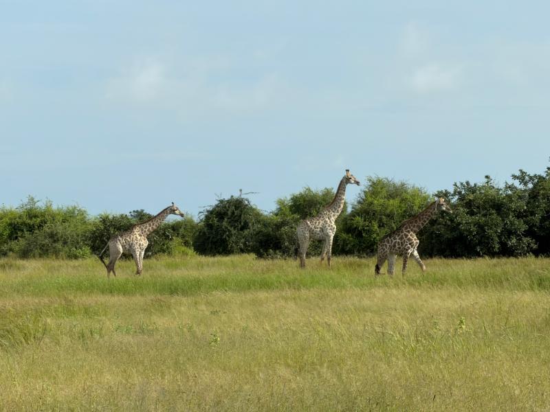 IMG_3165.JPG