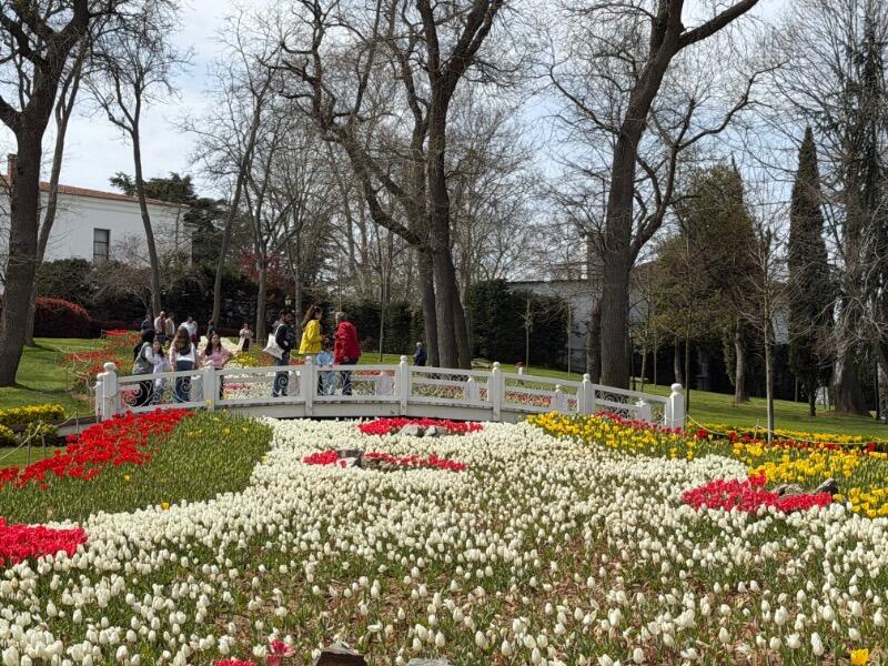 IMG_5437.jpeg