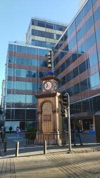 IMG_20240226_075437.jpg