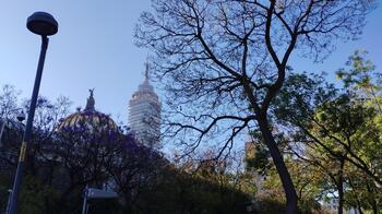 IMG_20240226_083017.jpg