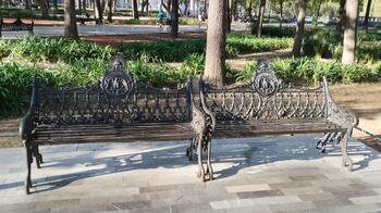 IMG_20240226_083305.jpg