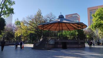 IMG_20240226_084019.jpg