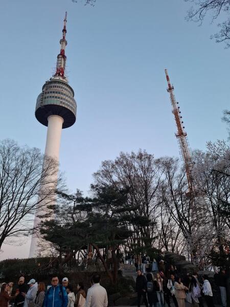 20260407_190024.jpg