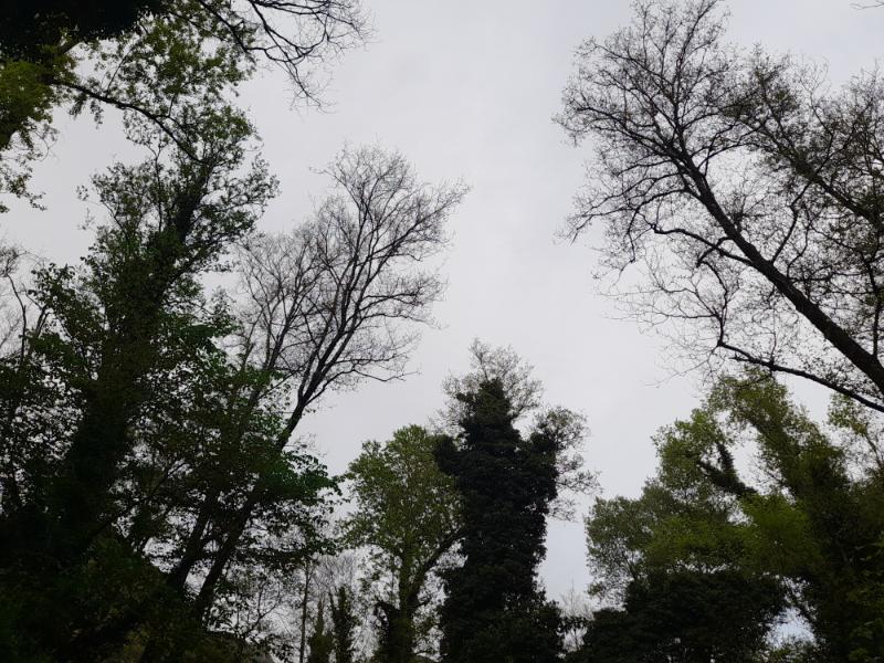 20260412_175839.jpg.e69ac7b9201fad9cb84bdf595c952916.jpg