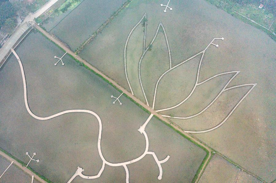 DJI_0444.jpg.4e83b5cb79ef3cef6e14d8b624dd017d.jpg