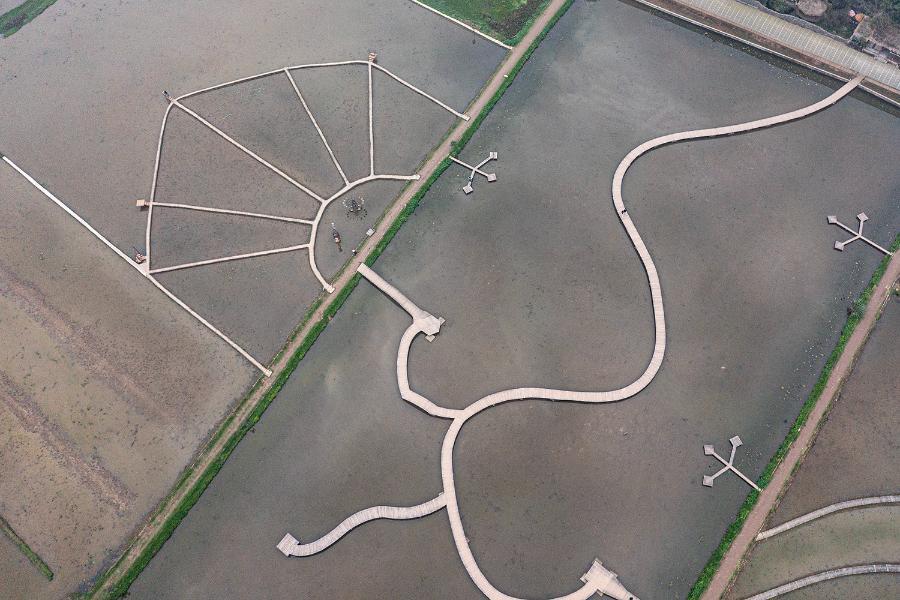 DJI_0445.jpg.5fa4d24a92a5513ecffc0fac17d3ad08.jpg