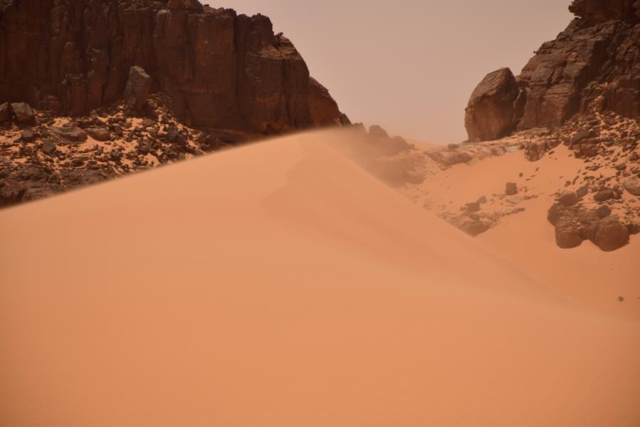 DSC_1195.JPG.ee2203ed6407354fcf999864d4dcec76.JPG