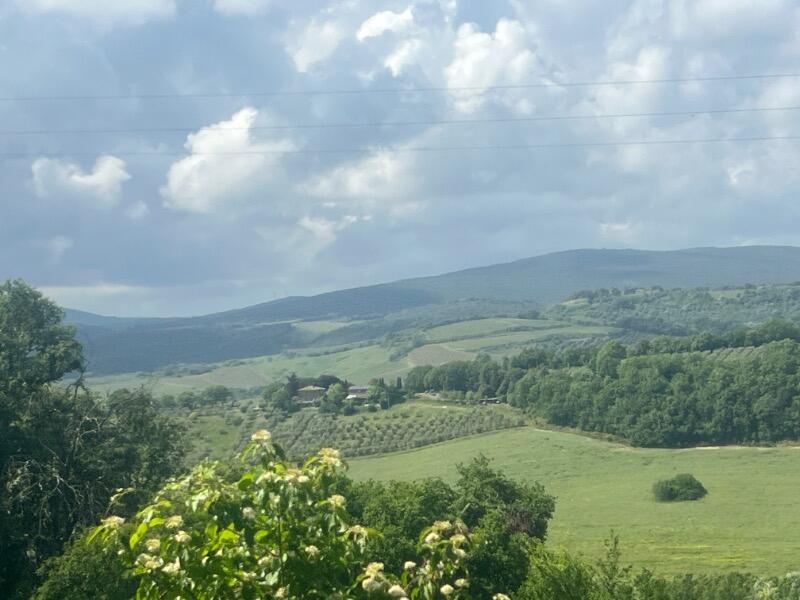 IMG_4682.jpeg.a36ada7ebe5382c9b65c86978119835d.jpeg