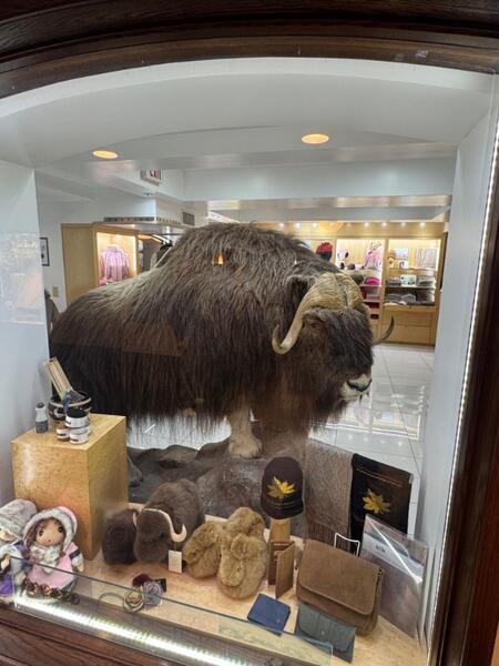 IMG_5183.jpeg.ce1db7aa0d5176088440ded0e844bd65.jpeg