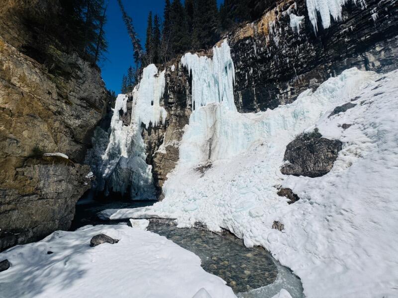 IMG_5750.jpeg.9ff3455e5a1e10dd47d0c2742546531b.jpeg