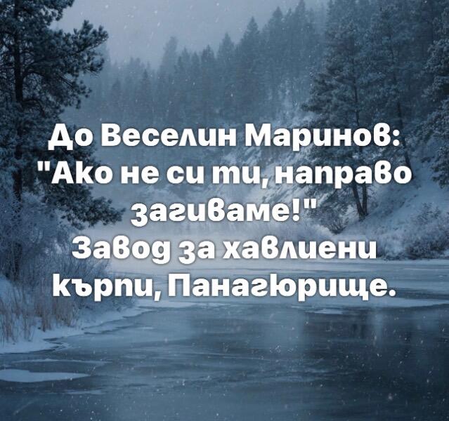 IMG_6387.jpeg.d934622a5b7ffcb71b958b8e17129aae.jpeg