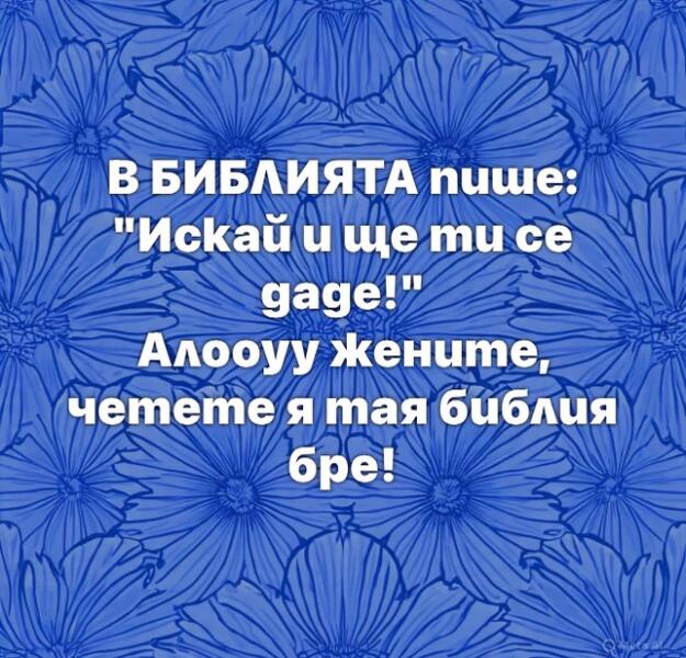 IMG_6514.jpeg.1d310ccd3fd8a0c0689cb8ea10f9ebcc.jpeg
