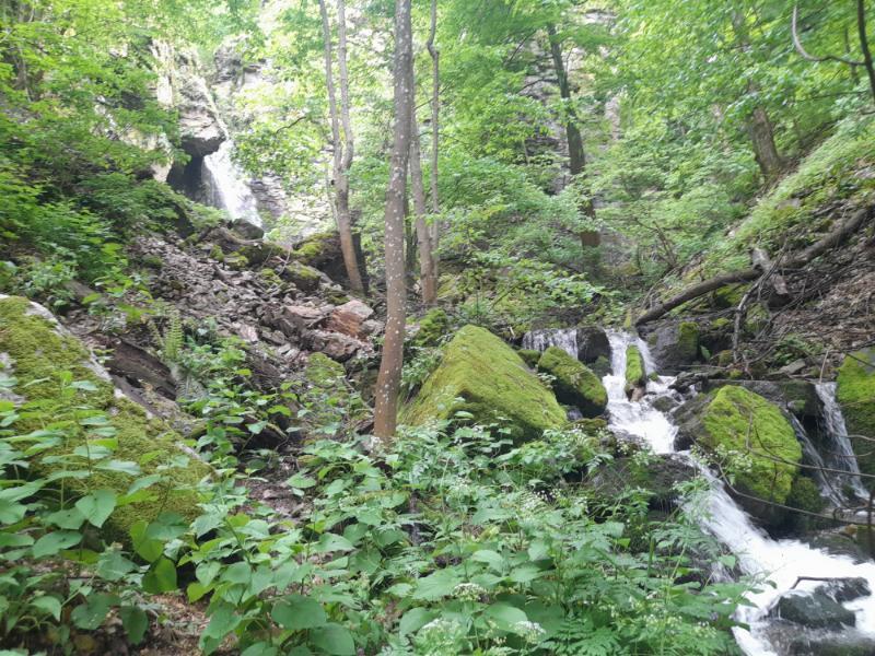 20260525_134850.jpg.c871a0130a9e54d4f104dfddbd415368.jpg