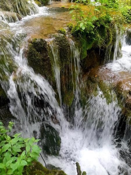 20260607_134516.jpg.3cb402face5f9845d36eedd199332506.jpg