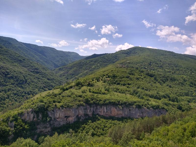 IMG_20260525_144832670_HDR.jpg.1a49781b01a3a54cee924af1901f4fe7.jpg