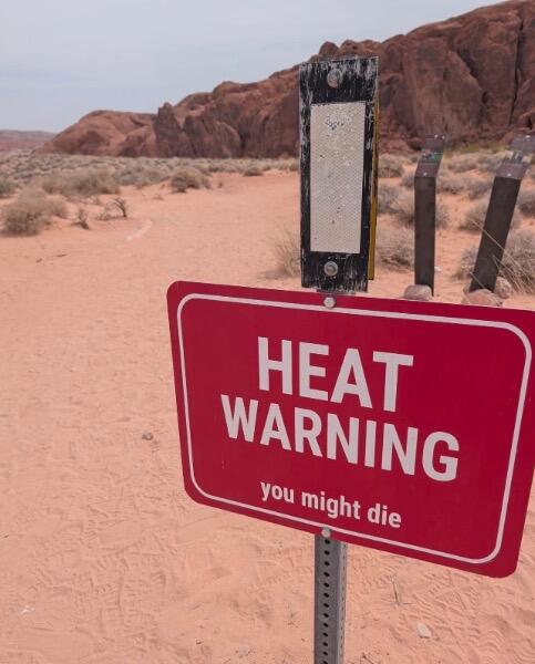 IMG_6603.jpeg.f4a22bd868b12296914d15ea615a1ee5.jpeg