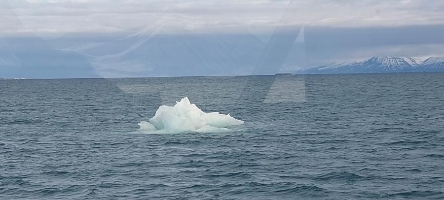 20260527_170356.jpg
