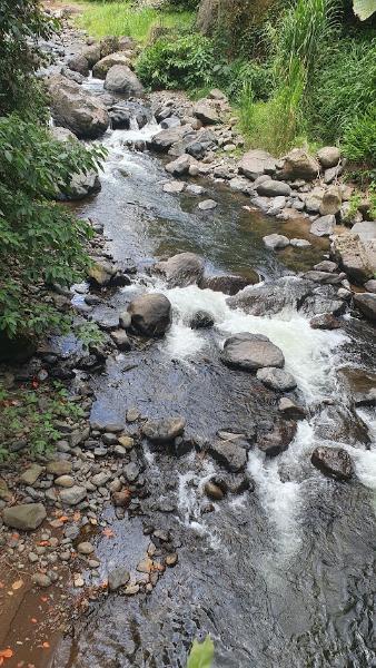 20260827_114509.jpg.2e0f982d13dbec765d6bdd41fd659233.jpg