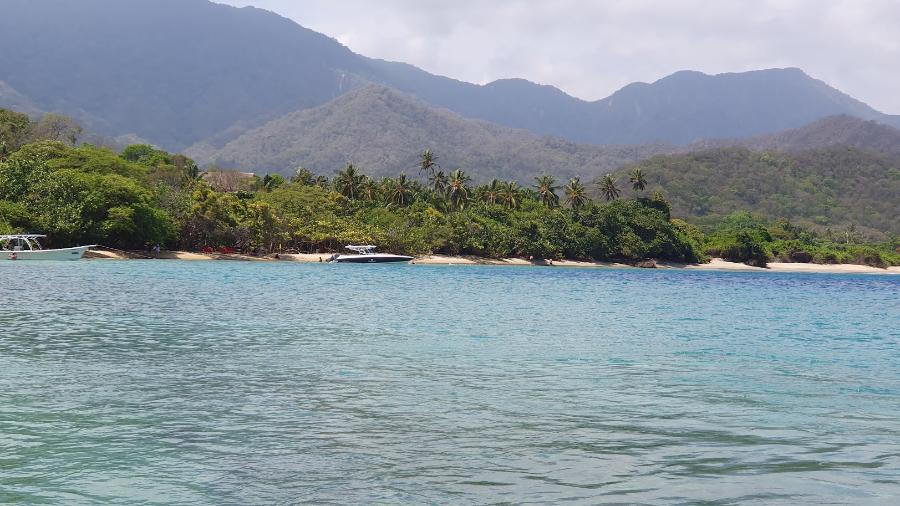 20260901_102610.jpg.c565011edb57c694cd7d7fea5ec5d546.jpg