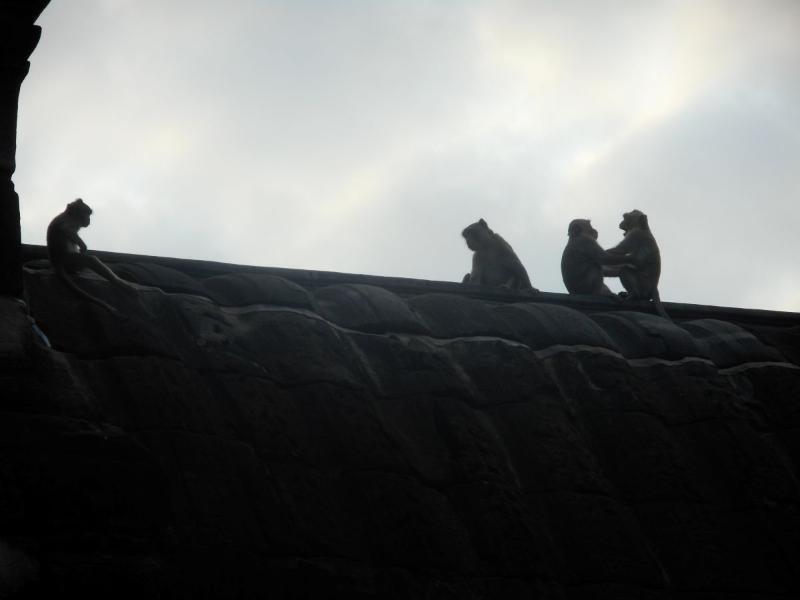 AngkorWat_51.JPG.a97a6ce95c2cfc8145d8787c44fe04c8.JPG
