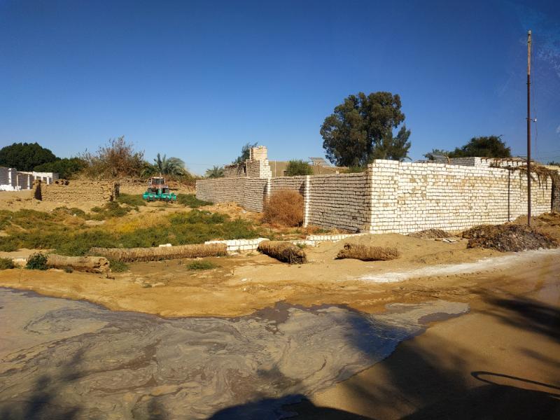 Bahariya_4.jpg.98f1291c4a1080a44f2ab99b73c3772d.jpg