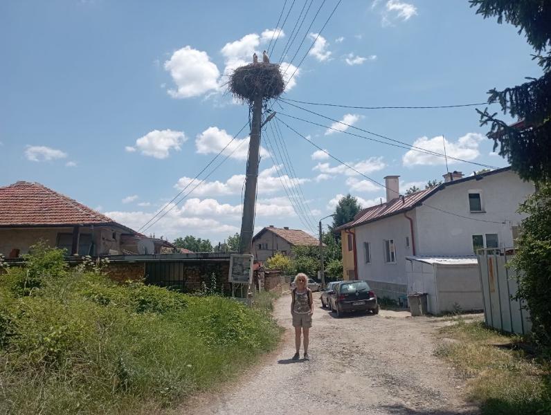 Bailovo_2.jpg.f54992fa52ecb1e5ea5c1bbe307e2325.jpg