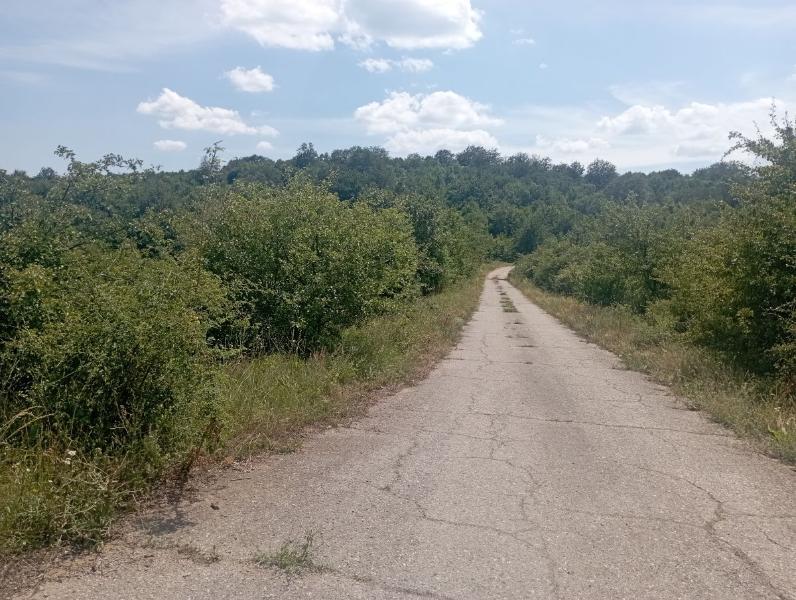Bailovo_22.jpg.190b27585ffaaae93ef105aee9fd644f.jpg